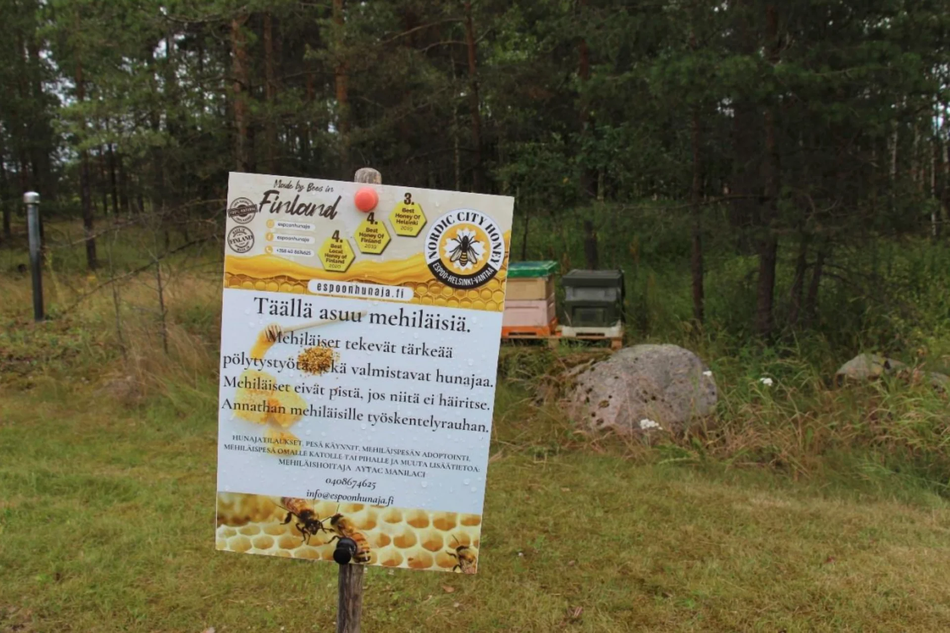 Hunajaa ja hyvinvointia